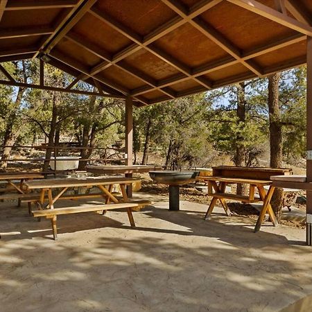 Baldwin Lake Steel Pine Lodge A Rustic Mountain Retreat Views מראה חיצוני תמונה